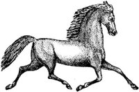 Hdc013g.JPG