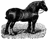 Hdc013b.JPG