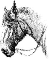 Hdc012h.JPG