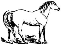 Hdc012e.JPG