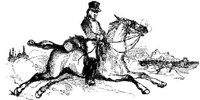 Hdc012d.JPG