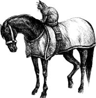 Hdc011m.JPG