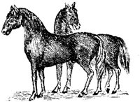 Hdc011j.JPG