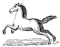 Hdc011i.JPG