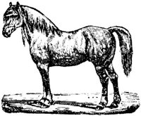 Hdc011f.JPG