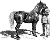 Hdc011d.JPG