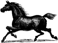 Hdc010h.JPG
