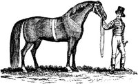 Hdc010g.JPG