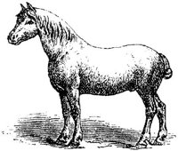 Hdc010f.JPG
