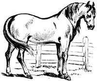 Hdc010e.JPG