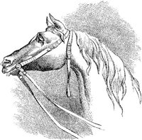 Hdc009e.JPG