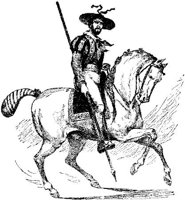 Hdc009d.JPG