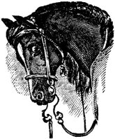 Hdc009c.JPG