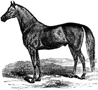 Hdc008h.JPG