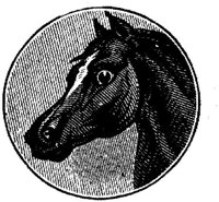 Hdc008g.JPG