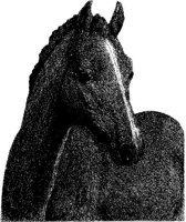 Hdc008f.JPG