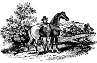 Hdc008c.JPG