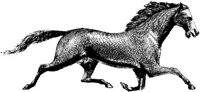 Hdc008a.JPG