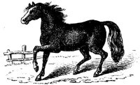 Hdc007j.JPG