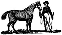 Hdc007h.JPG