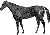 Hdc007g.JPG