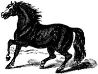 Hdc007f.JPG