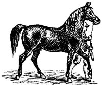 Hdc007e.JPG