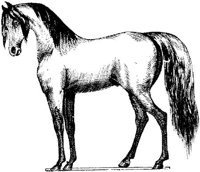 Hdc007a.JPG