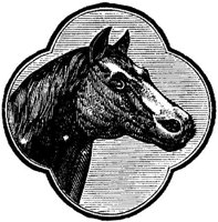 Hdc006i.JPG