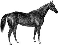Hdc006h.JPG