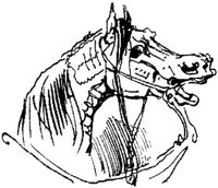 Hdc006f.JPG