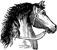 Hdc006e.JPG