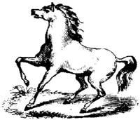 Hdc006d.JPG
