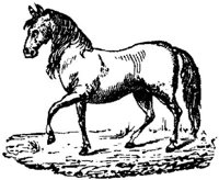 Hdc006c.JPG