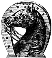 Hdc006b.JPG