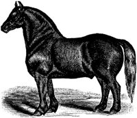 Hdc005e.JPG