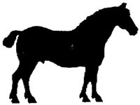 Hdc003h.JPG