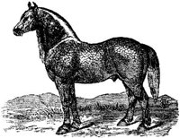 Hdc003e.JPG