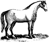 Hdc003d.JPG