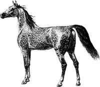 Hdc003b.JPG