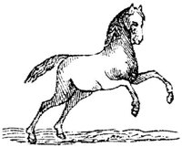Hdc003a.JPG