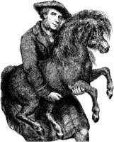 Hdc002g.JPG