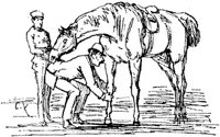 Hdc002e.JPG