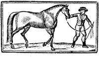 Hdc002b.JPG