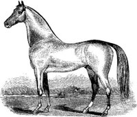 Hdc001m.JPG