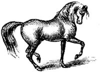 Hdc001k.JPG
