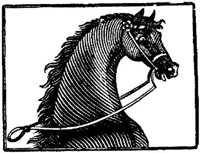 Hdc001j.JPG