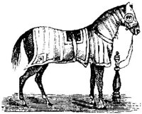 Hdc001i.JPG