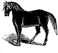 Hdc001f.JPG