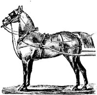 Eac018m.JPG